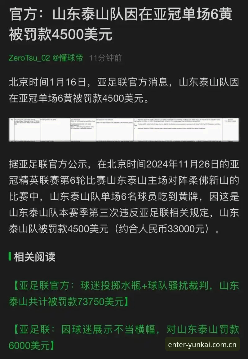 中国足协第三批禁足名单深度解析——65人遭重罚背后的足球乱象
